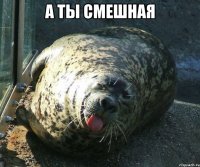 а ты смешная 