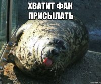 хватит фак присылать 