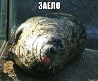 заело 