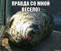 правда со мной весело) 