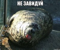 не завидуй 