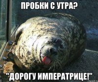 пробки с утра? "дорогу императрице!"
