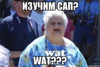 изучим сап? wat???
