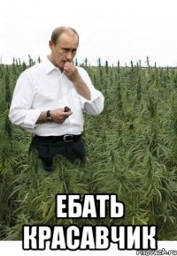  ебать красавчик