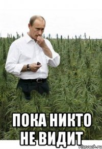  пока никто не видит