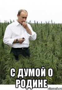  с думой о родине