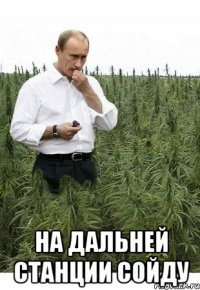  на дальней станции сойду