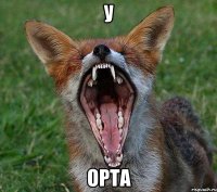 у орта