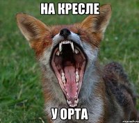на кресле у орта