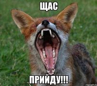 щас прийду!!!