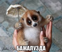  бажалузда