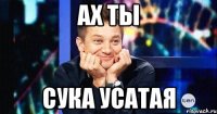 ах ты сука усатая