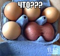 что??? 