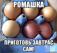 ромашка приготовь завтрас сам!