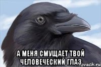  а меня смущает твой человеческий глаз