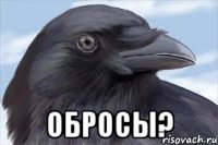  обросы?