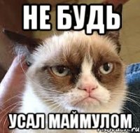 не будь усал маймулом