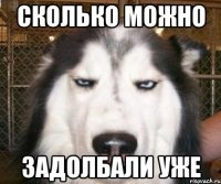 сколько можно задолбали уже