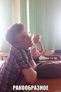  ракообразное
