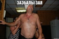 заэбалы зая 