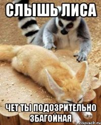 слышь лиса чет ты подозрительно збагойная