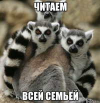 читаем всей семьёй
