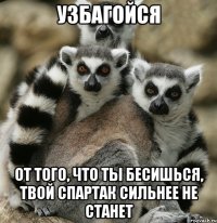 узбагойся от того, что ты бесишься, твой спартак сильнее не станет