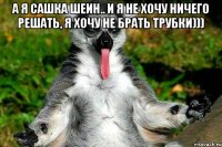 а я сашка шеин.. и я не хочу ничего решать, я хочу не брать трубки))) 