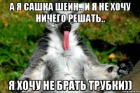 а я сашка шеин.. и я не хочу ничего решать.. я хочу не брать трубки))