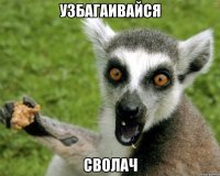 узбагаивайся сволач