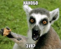 какобо зуя?