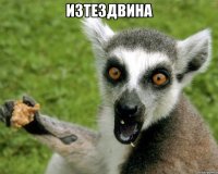 изтездвина 