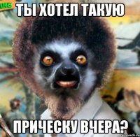 ты хотел такую прическу вчера?