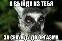 я выйду из тебя за секунду до оргазма