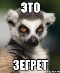 это зегрет