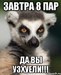 завтра 8 пар да вы узхуели!!!