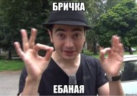 бричка ебаная