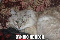  хуйню не неси