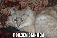  пойдем выйдем