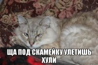  ща под скамейку улетишь хули