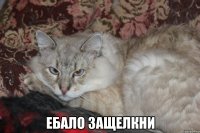  ебало защелкни