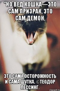 "но вед кошка—это сам призрак, это сам демон, это сама осторожность и сама шутка. ©теодор лессинг.