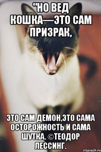 "но вед кошка—это сам призрак, это сам демон,это сама осторожность и сама шутка. ©теодор лессинг.