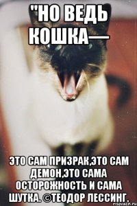 "но ведь кошка— это сам призрак,это сам демон,это сама осторожность и сама шутка. ©теодор лессинг.