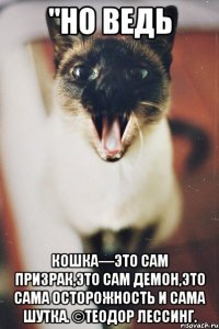 "но ведь кошка—это сам призрак,это сам демон,это сама осторожность и сама шутка. ©теодор лессинг.