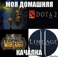 моя домашняя качалка