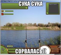 сука сука сорвалась((