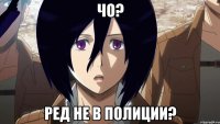чо? ред не в полиции?