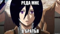 реда мне в братья