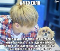 а что если псевдонимы айдолов - это настоящие имена, а имена - это псевдонимы, и те, у кого нет псевдонимов, скрывают свои настоящие имена ночами дорамы